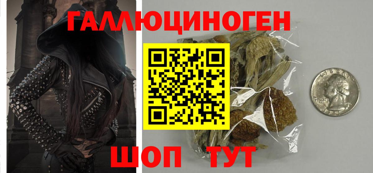 Галлюциногенные грибы мухоморы Заинск
